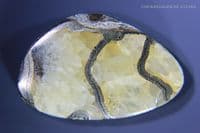 Pyritised Ammonite Fossil cabochon, Dorset, UK. 15.66 carats.