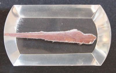 Quartz with Lithophilite inclusion, cabochon, Brazil.  104.69 carats.