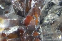 Quartz with oxide-coated positive crystal inclusions, faceted, Brazil.  88.42 carats.