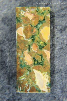 Rainforest Jasper (Rhyolite) cabochon, Australia. 75.10 carats.