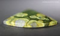 Rainforest Rhyolite cabochon, Africa.  28.43 carats.