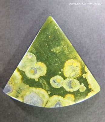 Rainforest Rhyolite cabochon, Africa.  28.43 carats.