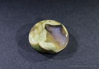Rainforest Rhyolite cabochon, Africa.  50.63 carats.