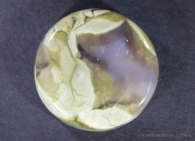 Rainforest Rhyolite cabochon, Africa.  50.63 carats.