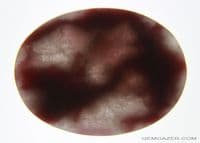 Rhodonite in Quartzite cabochon, China.  67.52 carats.