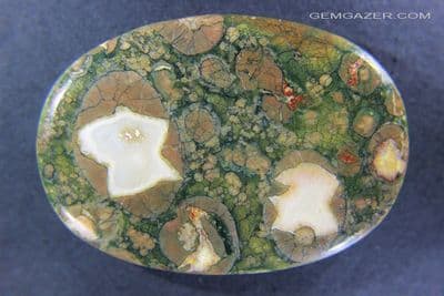 Rhyolite palmstone cabochon, Mexico.  226.48 carats / 45.3grams.