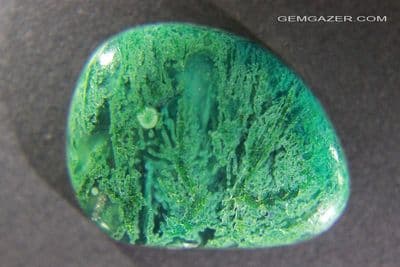 Sagenitic Chrysocolla with Selenite cabochon, Arizona USA. 18.04 carats.