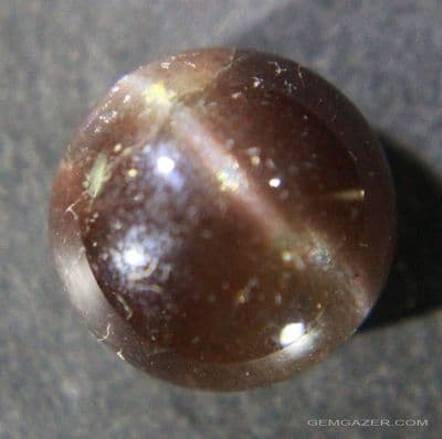 Scapolite, chocolate brown cat's-eye, Pakistan.  5.74 carats.