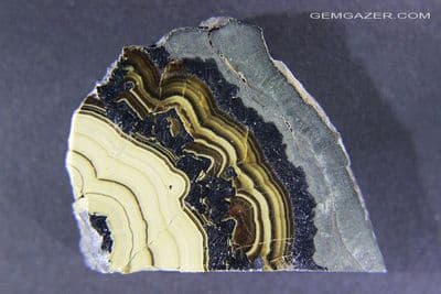 Schalenblende polished slab, Germany.  200.15 carats / 40.03grams.