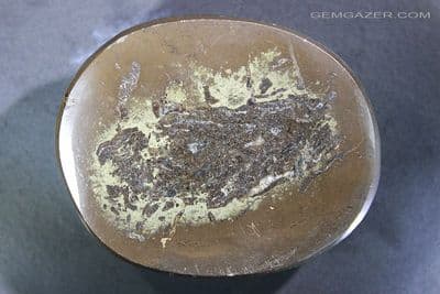 Silicated Fish Coprolite nodule with Pyrite, Scotland, UK. 92.64 grams.