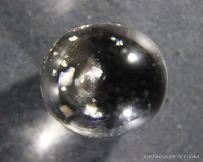 Smoky Quartz cabochon with Tension-disc inclusions. Myanmar.  34.12 carats.