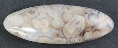 Snake-Eye Agate cabochon,  Mexico.  29.60 carats.