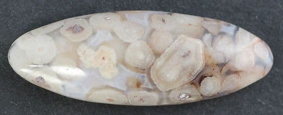 Snake-Eye Agate cabochon,  Mexico.  29.60 carats.