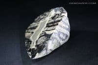 Spherulite nodule, part-polished, Scotland (Fluorescent). 104.88 grams.