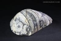 Spherulite nodule, part-polished, Scotland (Fluorescent). 104.88 grams.