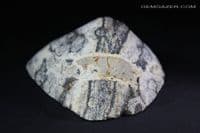 Spherulite nodule, part-polished, Scotland (Fluorescent). 104.88 grams.