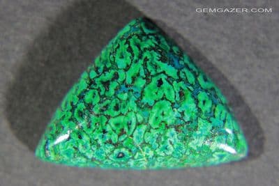 Spiderweb Chrysocolla cabochon, Arizona USA.  6.83 carats.