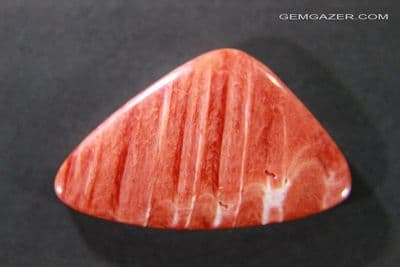 Spiny Oyster shell cabochon, Mexico. 15.35 carats.