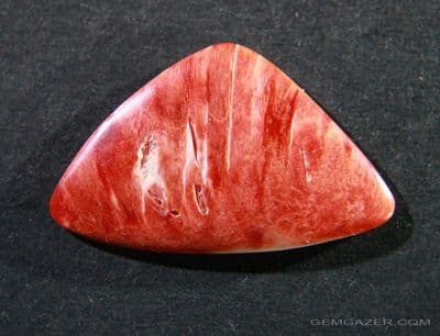 Spiny Oyster shell cabochon, Mexico.  9.00 carats.