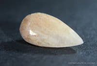 Stellerite, faceted, India.  1.68 carats.