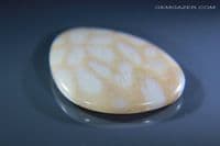 Tisbury Fossil Coral cabochon, Wiltshire, UK. 22.63 carats.