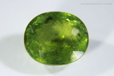 Tourmaline, green faceted, Mozambique.  6.96 carats.