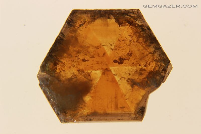 Trapiche Citrine Quartz polished crystal slice Kazakhstan 27 20 carats