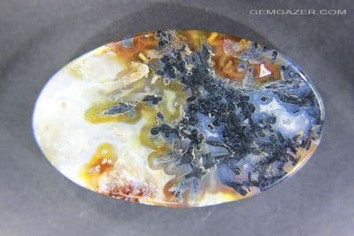 Trent Agate with Stibnite cabochon, Oregon, USA. 207.80 carats.