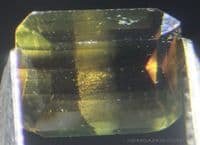 Triphylite, color-change green/red faceted, Brazil.  1.07 carats.