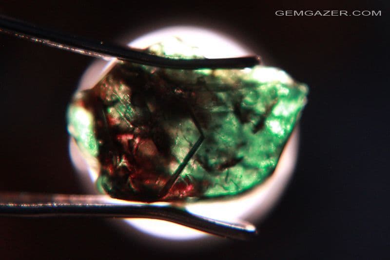 Usambara effect Chrome Tourmaline crystal Tanzania 40 carats SOLD - Main Image