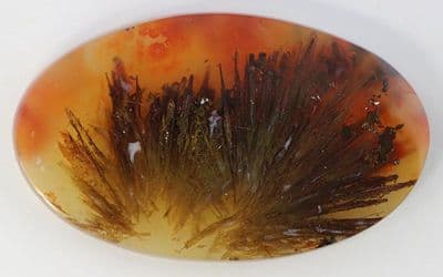 Woodward Ranch Sagenitic Agate cabochon. Texas, USA.  54.40 carats.