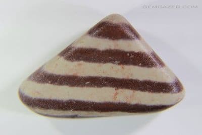Zebra Stone pebble/cabochon, Australia.  27.63 carats.