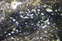 Zhamanshinite tektite, faceted, Kazakhstan.  4.81 carats.