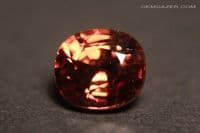 Zircon Orange naturel de Tanzanie - VS - Ovale 1.03 Carat - 6