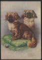 Dogs - Pekingese