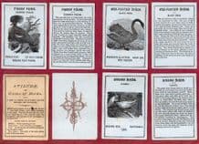 ANTIQUE CARDS GAME AVILUDE - GAME OF BIRDS BY WEST & LEE PLAYING 1873