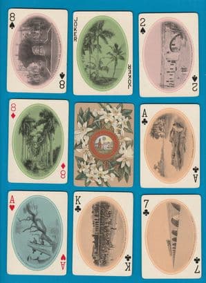Antique Collectible playing cards. Florida souvenir  c`1900