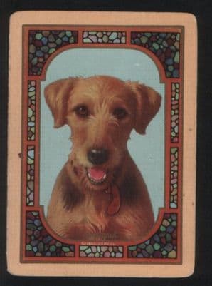 Antique Wide named playing cards. Airedale dogs