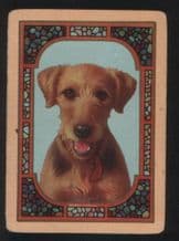 Antique Wide named playing cards. Airedale dogs