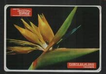 Canary Islands Hotel label luggage labels Tenerife Hotel Tigaiga #040