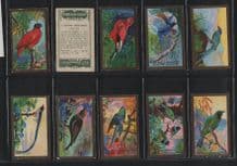 Cavanders cigarette cards FOREIGN BIRDS 1926 set
