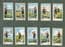 Cgarette cards set Scouts Signalling series 1922 by  B.A.T