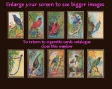Cigarette card tobacco card set FEATHERED FRIENDS birds