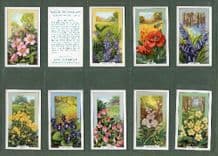 Cigarette card Wild Flowers 1939 set of 48 complete