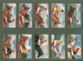 Cigarette cards-Anstie