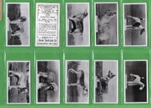 Cigarette cards Champion Dogs 1938 set by Sinclair