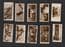 Cigarette cards Cute animal photo, cats dogs and more 1932