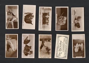 Cigarette cards Cute animal photo, cats dogs and more 1932