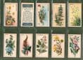 cigarette cards-CWS