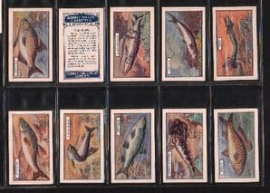 Cigarette cards Fish 1924 set By Phillips Godfrey